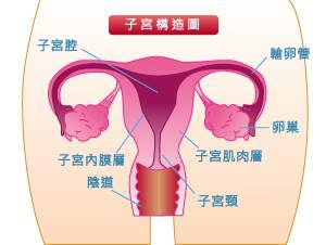 10606113_1979421012282331_671647794160202887_n.jpg 10606113_1979421012282331_671647794160202887_n.jpg