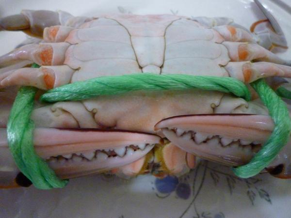 公的三點蟹的腳及腹部帶有粉紅色，代表「肥到極點」。