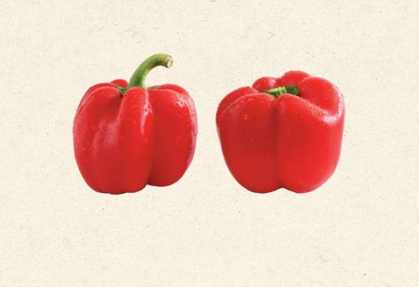 挑選頂端有果蒂的甜椒（圖左），代表剛採摘不久，比較新鮮。