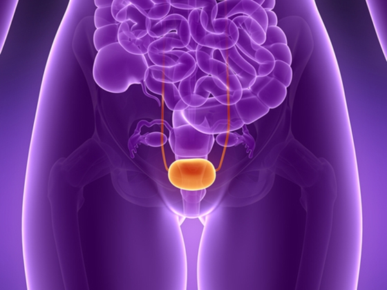 女性，更要善待你的膀胱！你從不知道「憋尿」，會衍生可怕疾病！...