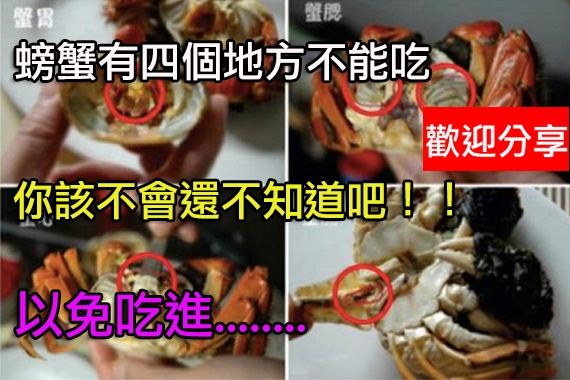 螃蟹有四個部位不能吃，以免吃進一堆抗生素...