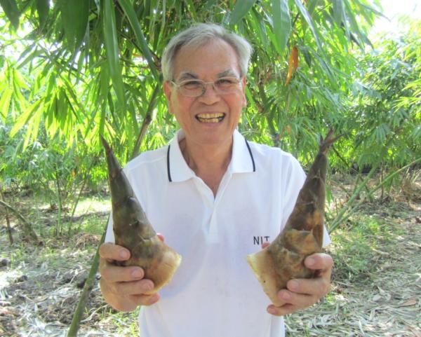 黃永岡種植的有機甜龍筍，已獲慈心有機認證。