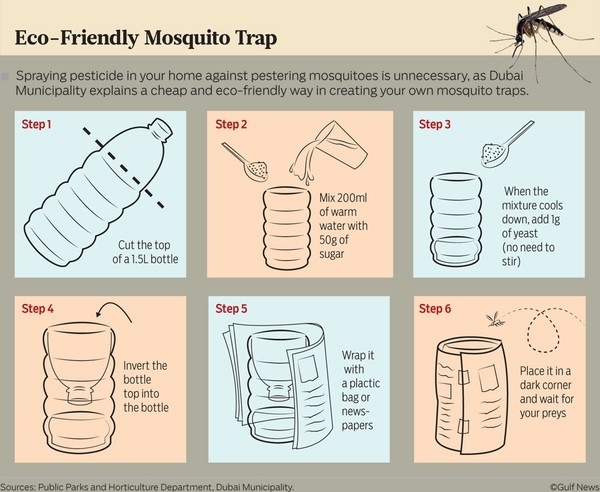 原來這樣蚊子就會死光光！！太有效！杜拜政府公告的除蚊超強妙方...