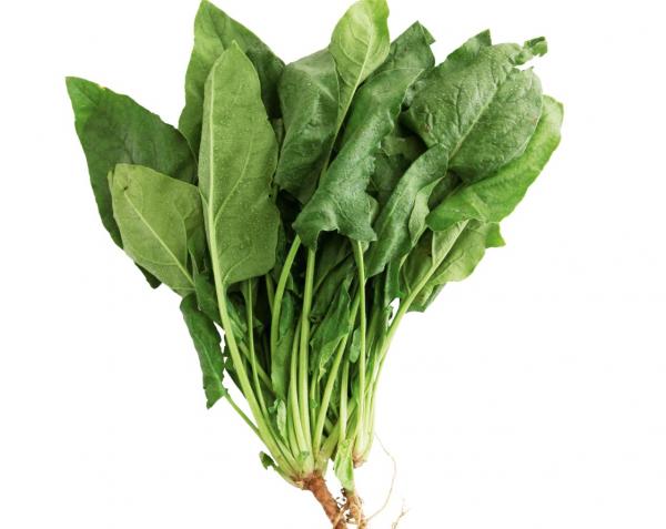 多吃綠色葉菜，提高眼睛的抗氧化能力！