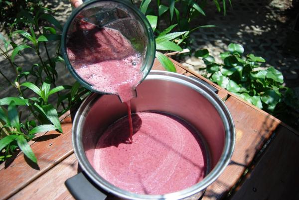 葡萄果汁不必去渣，直接倒入鍋中。