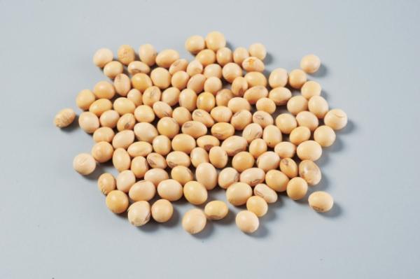 褪黑激素的形成，需有如納豆等大豆製品的色胺酸。