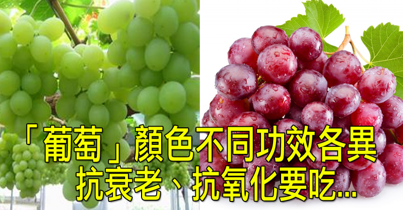 90%人都白吃了！「葡萄」顏色對應不同功效！抗氧化跟抗衰老應...