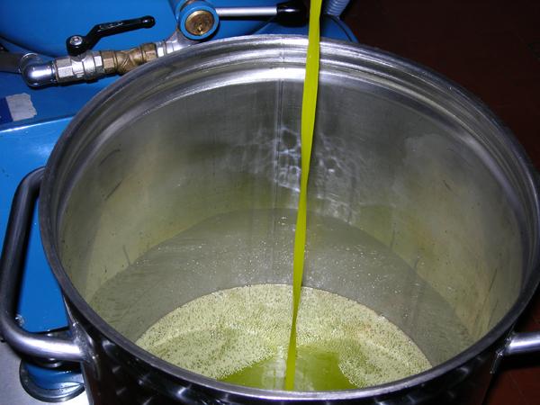 以冷壓天然方式榨取的第一道橄欖油才能稱為「特級冷壓橄欖油」。