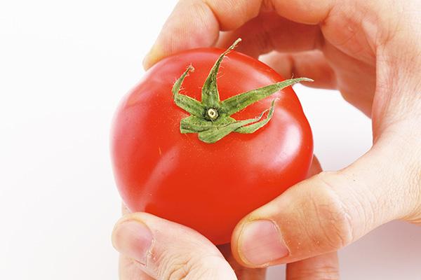 成熟番茄的生物鹼含量低，人體可自行排除，不會危及健康。