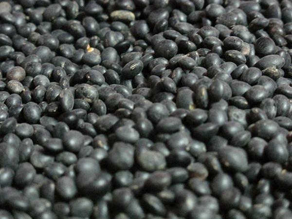 黑豆富含白氨酸，有助於預防肌少症，並具有抗衰老的效果。