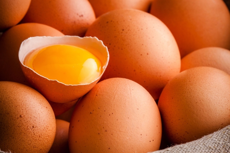 八成五國人平均每天吃不到一顆蛋...