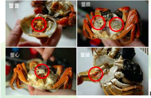 螃蟹有四個部位不能吃，你該不會現在才知道？...