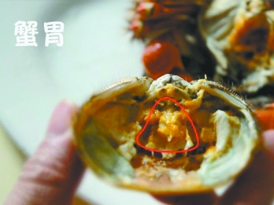 1、蟹胃：躲在蟹黃里的“三角包” 蟹胃在哪？ 打開蟹殼，看到殼上沾有一些蟹黃，蟹胃就藏在殼子的蟹黃里。 蟹胃很髒，不建議食用。