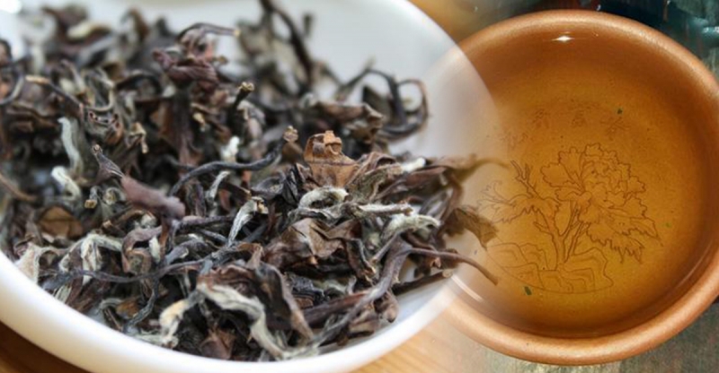 74歲老茶人教您怎麼喝茶最健康，居然有一種茶完全不會怕農藥殘...