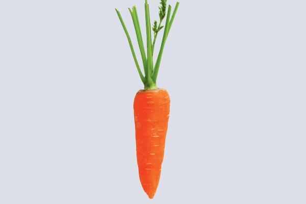 紅蘿蔔所含豐富的β胡蘿蔔素，是人體維生素A的主要來源。