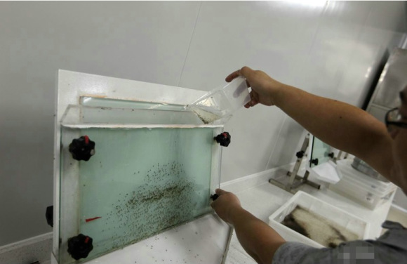 中國研發團隊研究出了一個方法竟可滅絕全世界超討厭的蚊子？