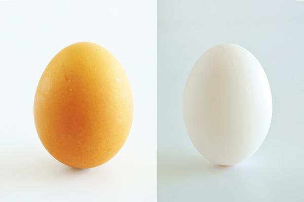 蛋殼顏色與營養成分並無直接關連喔！