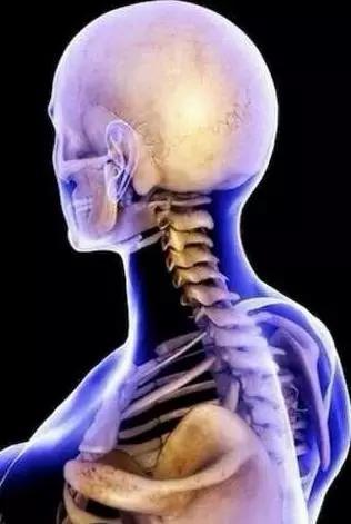 肩頸是毒素最易堆積的地方！
