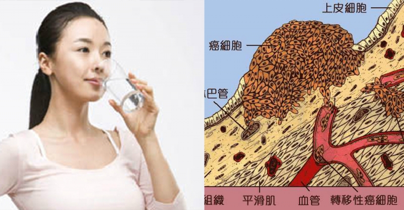 為什麼日本人平均壽命那麼高？因為靠著「喝水」就能預防癌細胞滋...