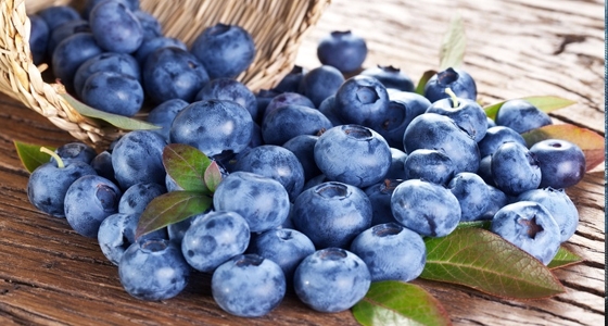 藍莓這樣吃，能夠預防和治療乳腺癌！趕快收藏起來！！...