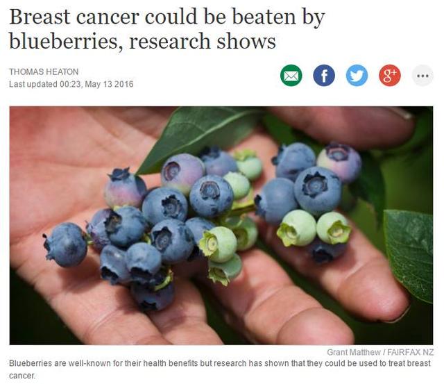 重磅！新西蘭梅西大學最新研究：藍莓能夠預防和治療乳腺癌！