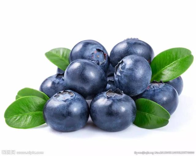 重磅！新西蘭梅西大學最新研究：藍莓能夠預防和治療乳腺癌！
