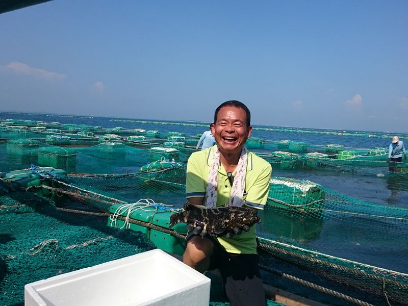 海水箱網養殖 用天然的環境孕育出健康魚