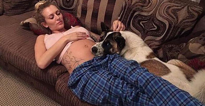 她懷孕20週時發現狗狗的行為異常好像在哭...去了醫院檢查醫...