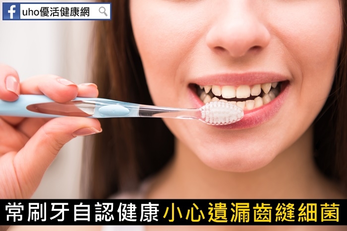 常刷牙自認健康小心遺漏齒縫細菌！...